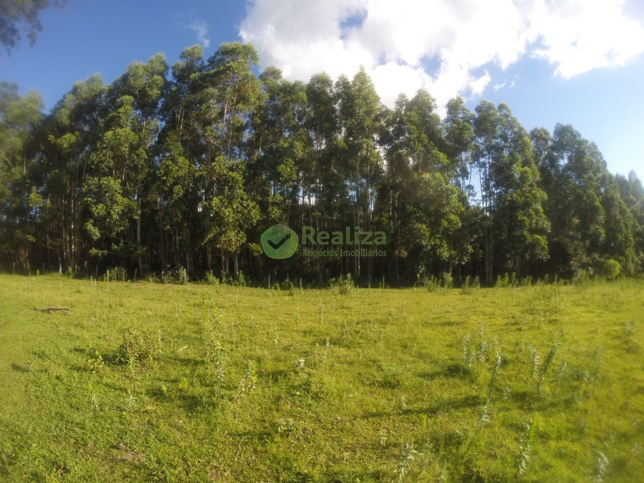 Fazenda à venda com 2 quartos, 60m² - Foto 1