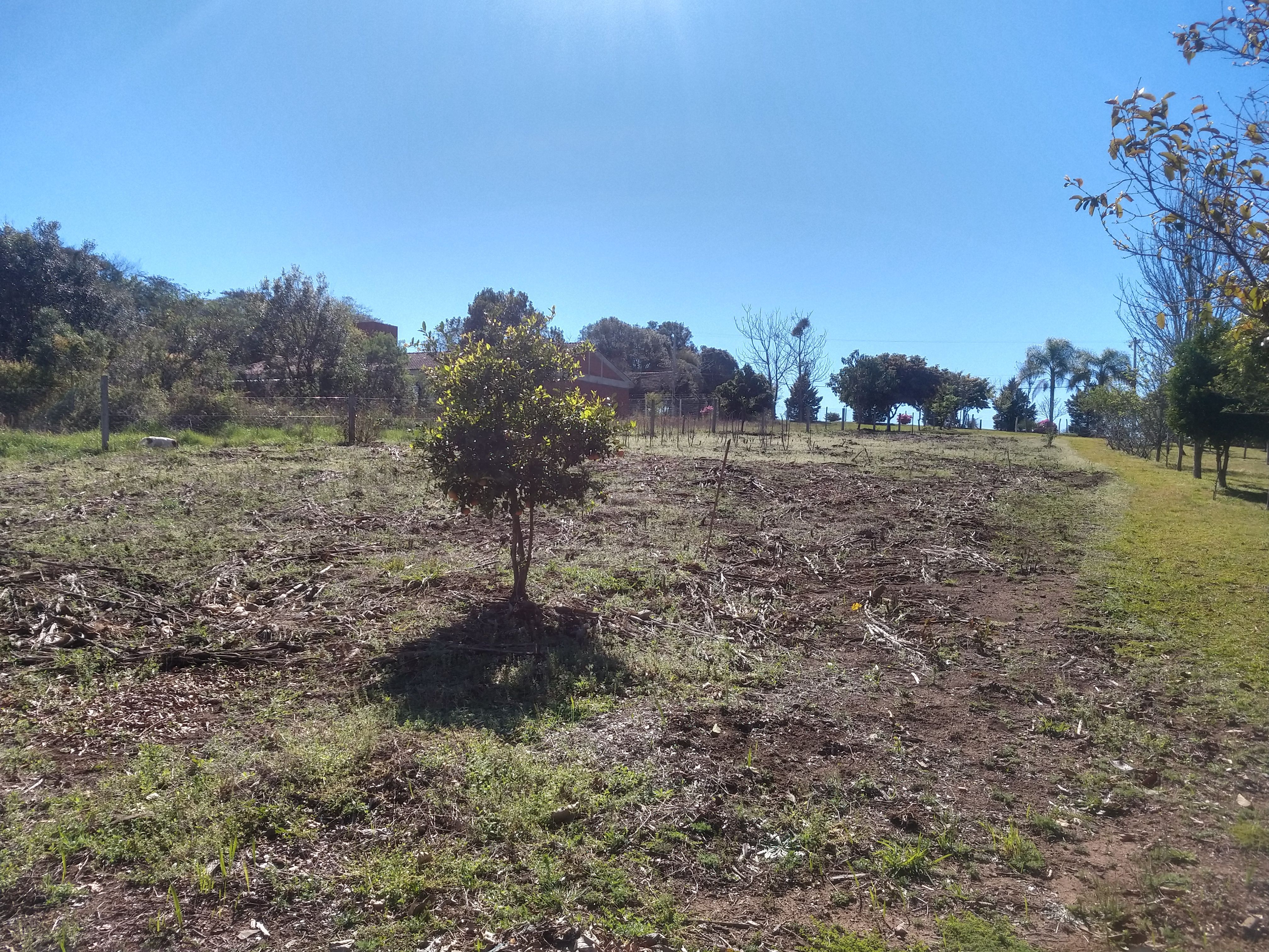 Terreno/Lote  venda  no Centro - Itaara, RS. Imveis