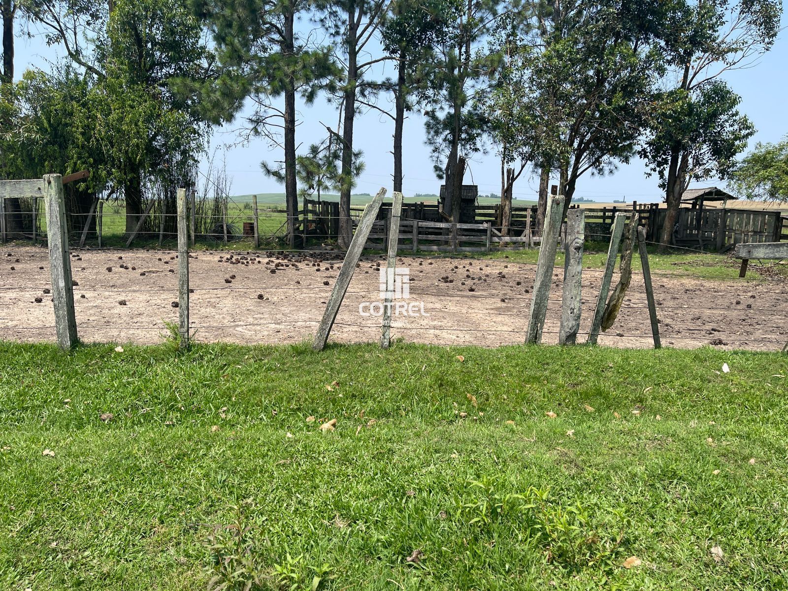 Fazenda para venda com 217 ha localizada na cidade de Sant'Ana do Livramento/RS.