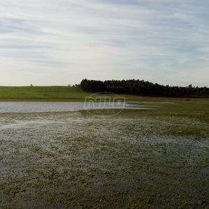 Fazenda top em Venâncio Aires - RS