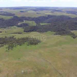 313 hectares em São José dos Ausentes