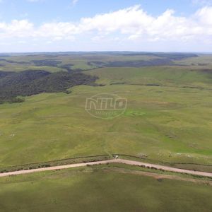 313 hectares em São José dos Ausentes