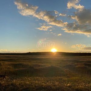 240 hectares em Palmares do Sul-RS