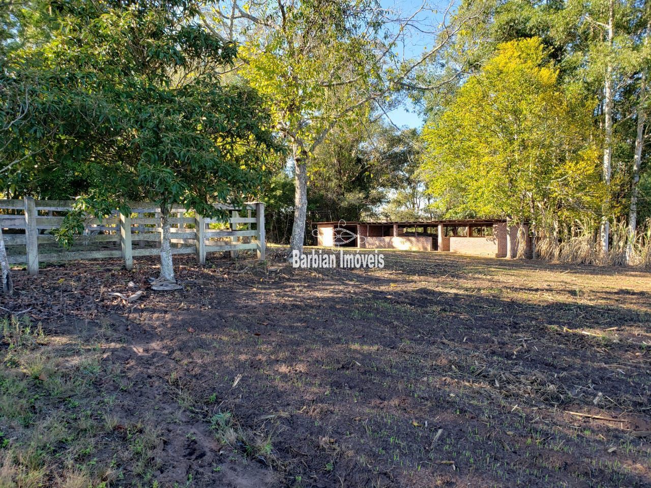 Fazenda à venda com 3 quartos, 200m² - Foto 16