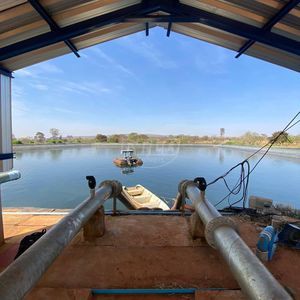 2.600 ha em Minas Gerais