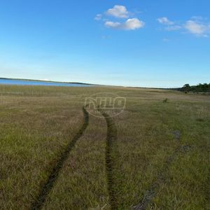 240 hectares em Palmares do Sul-RS