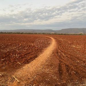 2.600 ha em Minas Gerais