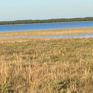 240 hectares em Palmares do Sul-RS