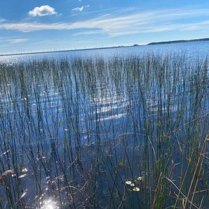 240 hectares em Palmares do Sul-RS