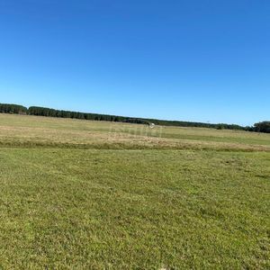 240 hectares em Palmares do Sul-RS