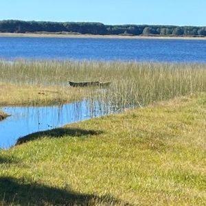 240 hectares em Palmares do Sul-RS