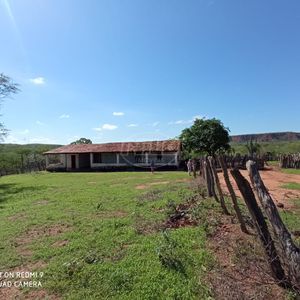 2675 hectares no Piauí