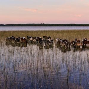 240 hectares em Palmares do Sul-RS