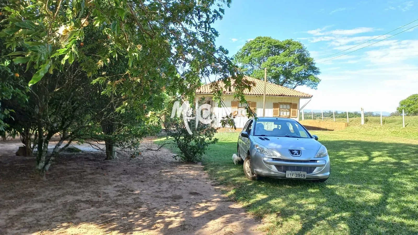 Sítio, 3 quartos, 3 hectares - Foto 2