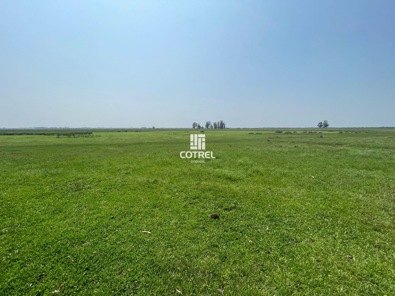 Fazenda para venda com 217 ha localizada na cidade de Sant'Ana do Livramento/RS.