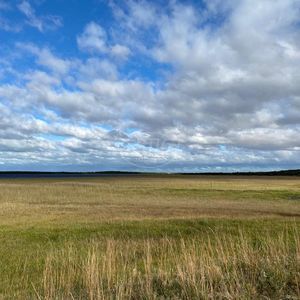 240 hectares em Palmares do Sul-RS
