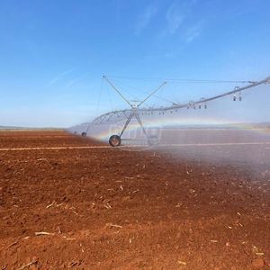 2.600 ha em Minas Gerais