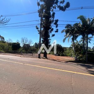 Terreno Comercial no bairro Olarias em Lajeado para Comprar