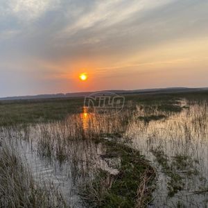 240 hectares em Palmares do Sul-RS