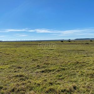 240 hectares em Palmares do Sul-RS