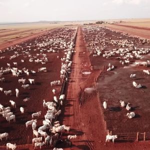 Fazendão no Mato Grosso!