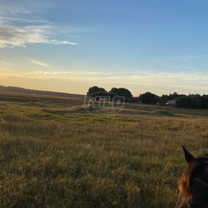 240 hectares em Palmares do Sul-RS