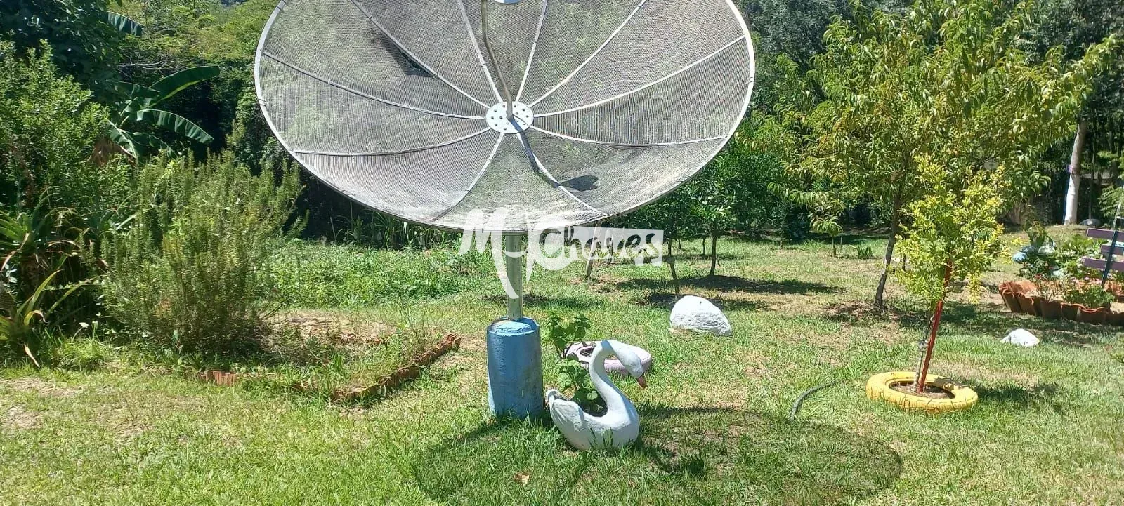 Chácara, 2 quartos, 2 hectares - Foto 4