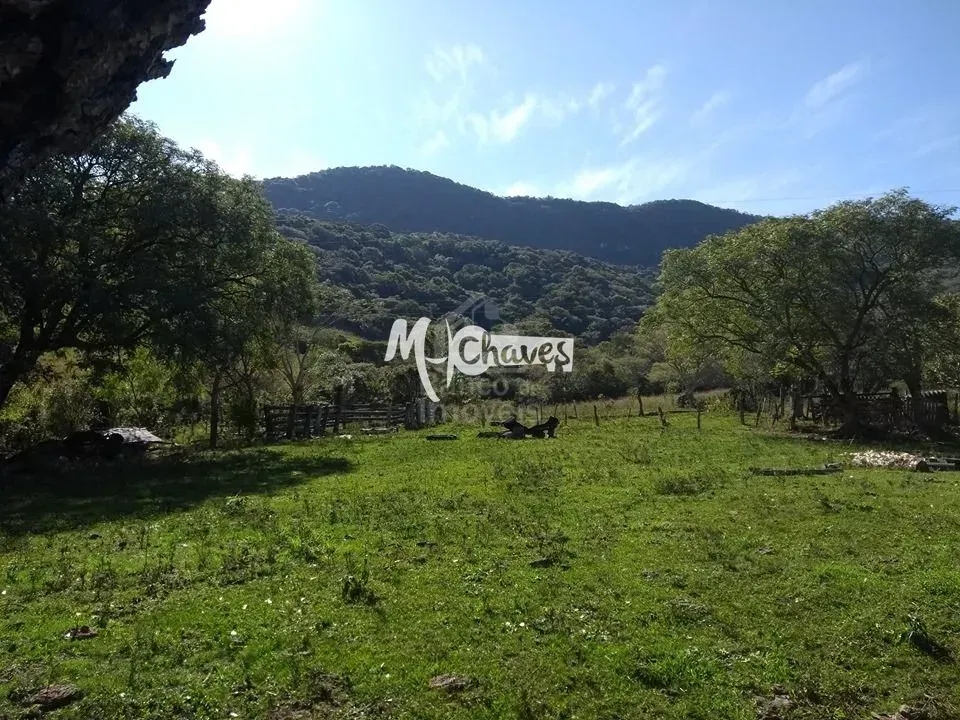 Sítio, 3 quartos, 5 hectares - Foto 7