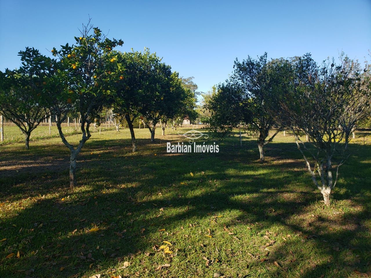 Fazenda à venda com 3 quartos, 200m² - Foto 23