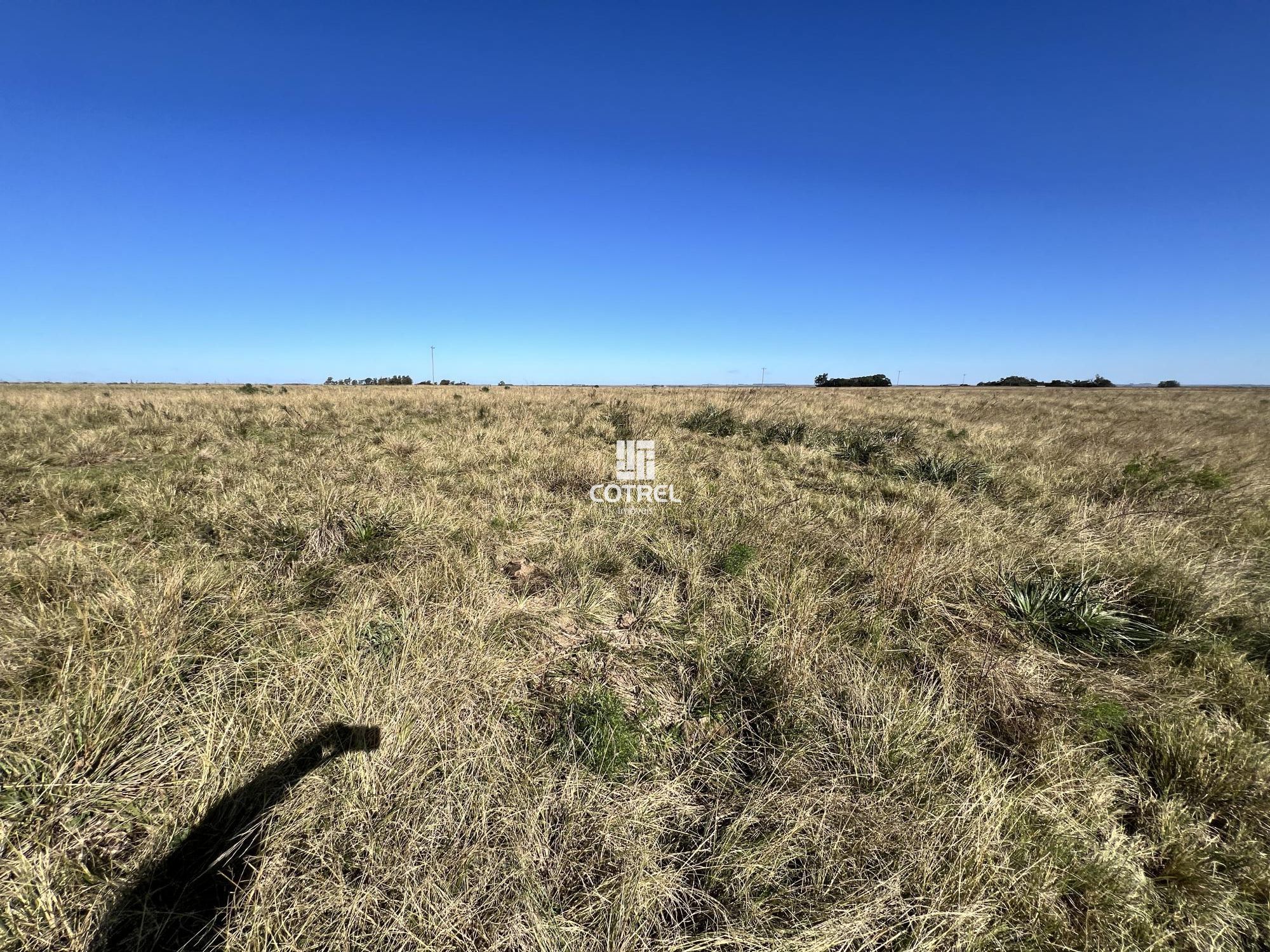 Fazenda para venda com 169 hectares em Alegrete/RS