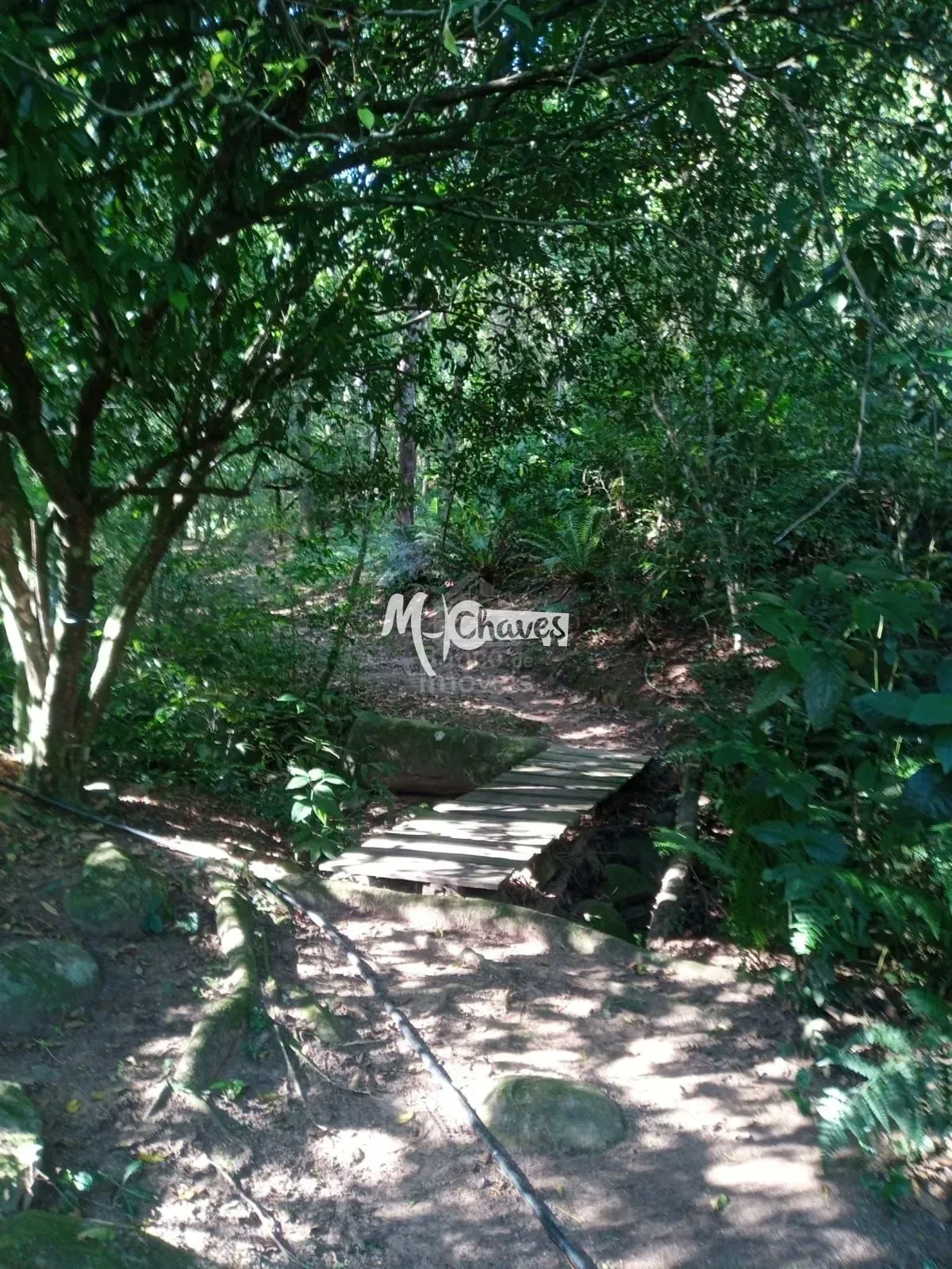 Chácara, 3 quartos, 3 hectares - Foto 34