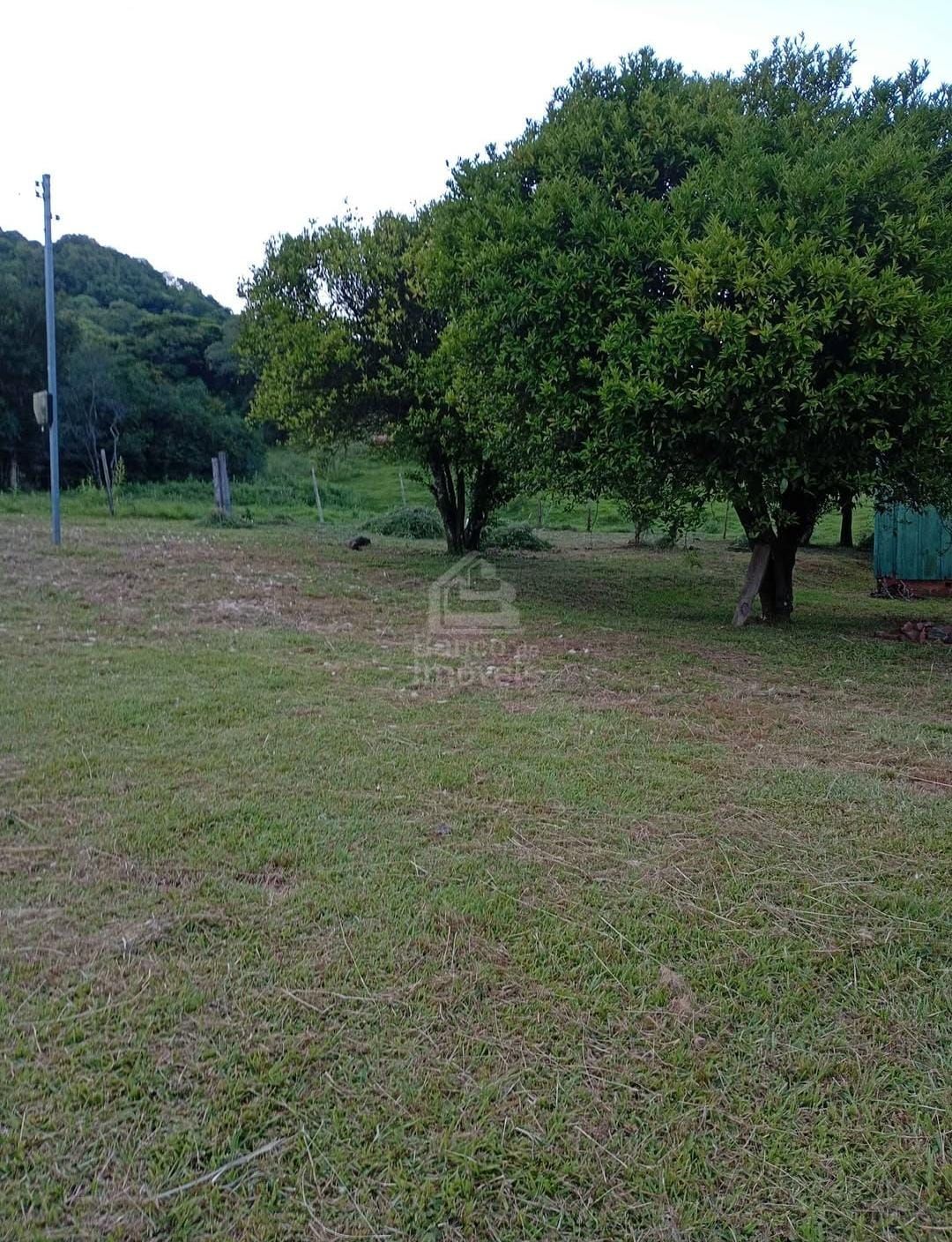 Sítio, 1 quarto, 2 hectares - Foto 3