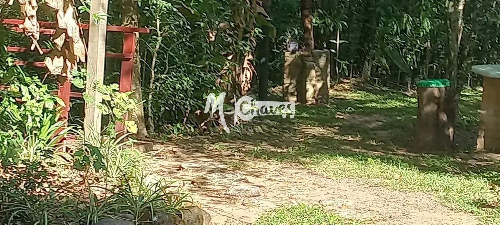 Chácara, 3 quartos, 3 hectares - Foto 40