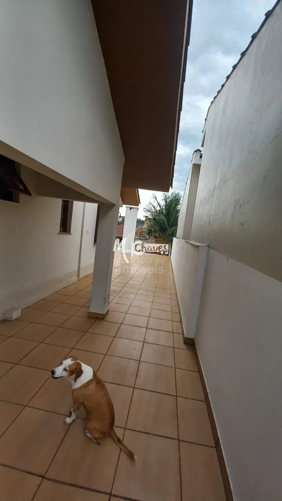 Casa, 3 quartos, 314 m² - Foto 33