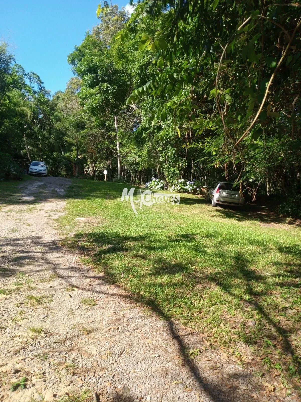Chácara, 3 quartos, 3 hectares - Foto 29
