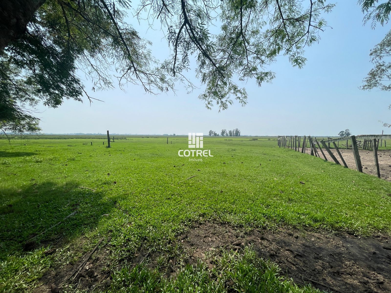 Fazenda para venda com 217 ha localizada na cidade de Sant'Ana do Livramento/RS.