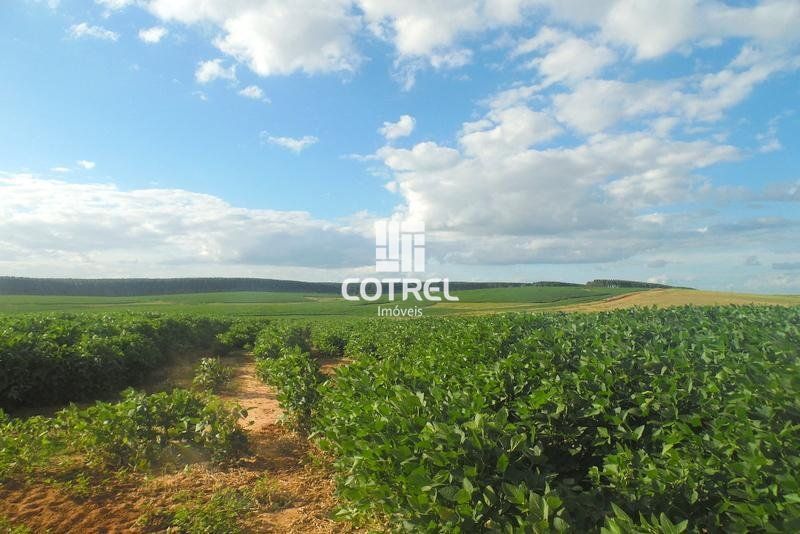 Fazenda para venda em Cacequi/RS com 534 hectares