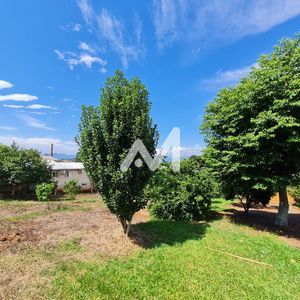 Terreno no bairro Universitário em Lajeado para Comprar