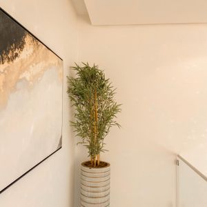 Casa de Condomínio com 375m², 4 dormitórios, 4 suítes, 2 vagas no Condomínio Ilhas Park em Torres para Comprar