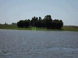 Fazenda para alugar com 4 quartos, 40000m² - Foto 4