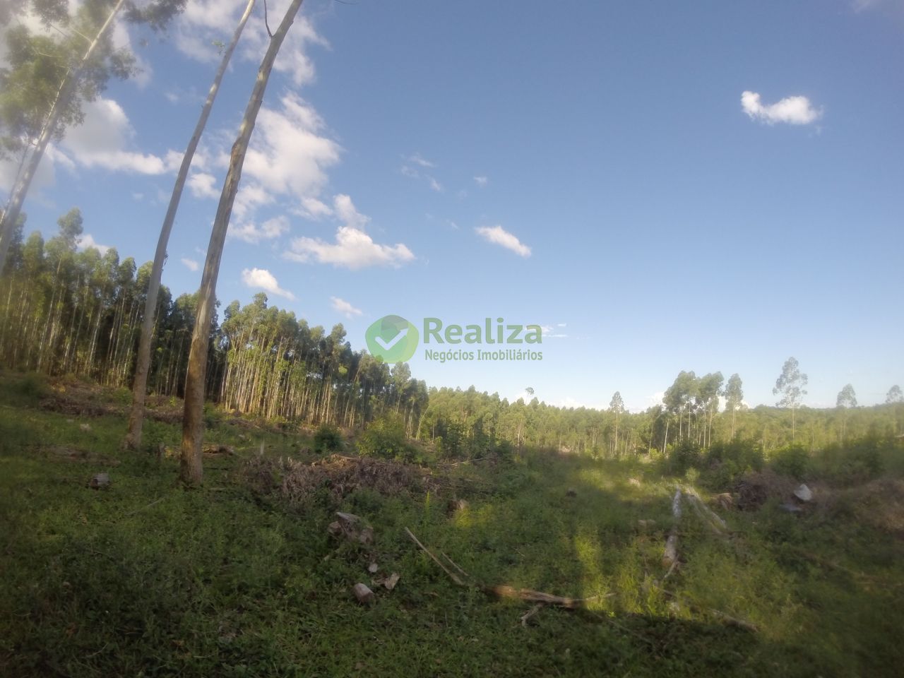 Chácara, 2 quartos, 60 m² - Foto 15