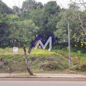 Terreno no bairro Moinhos em Lajeado para Comprar