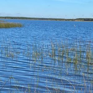240 hectares em Palmares do Sul-RS