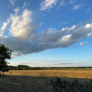 240 hectares em Palmares do Sul-RS