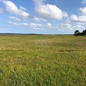 240 hectares em Palmares do Sul-RS