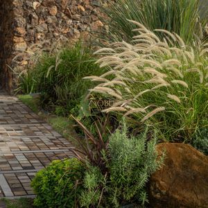 Casa de Condomínio com 244m², 4 dormitórios, 4 suítes, 2 vagas no Condomínio Ilhas Park em Torres para Comprar