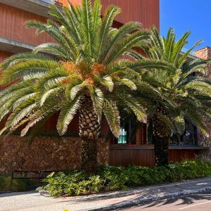  no bairro  em  para Alugar