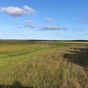240 hectares em Palmares do Sul-RS