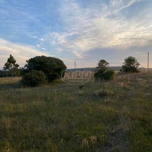 240 hectares em Palmares do Sul-RS