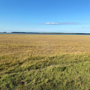 240 hectares em Palmares do Sul-RS